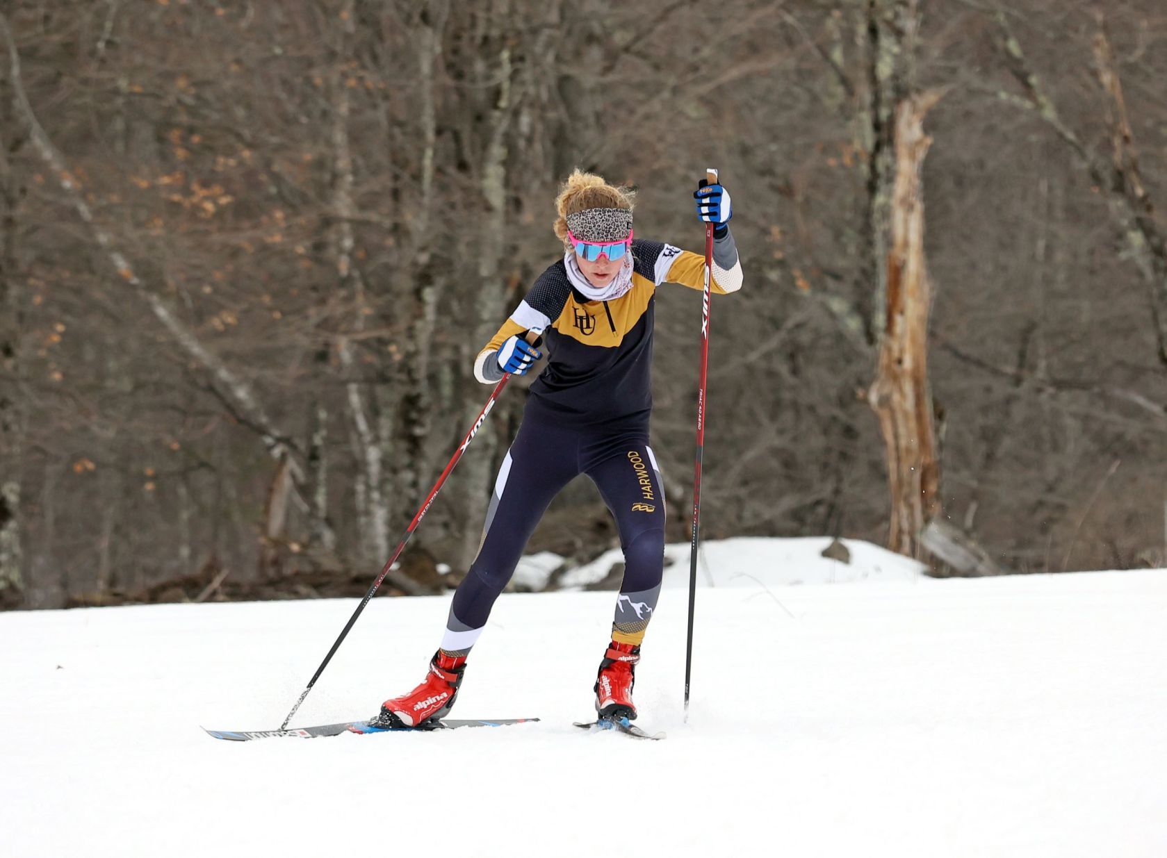Nordic ski results